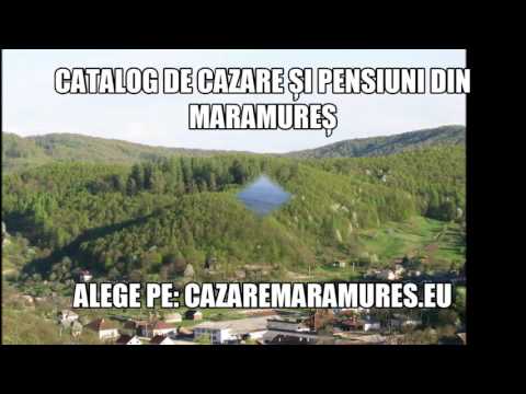 Cazare Berinta, Pensiuni Berinta - cazaremaramures.eu