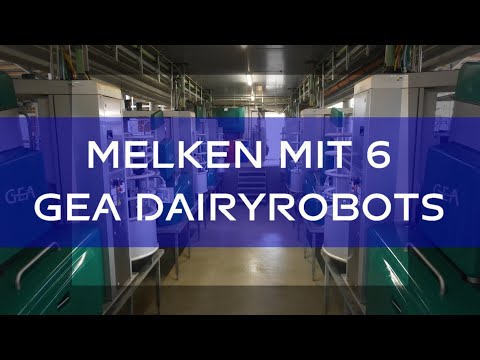 , title : 'Ein neuer Milchviehstall - und den Kühen taugt´s!'