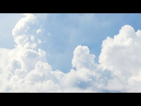 Tracking Ida What We Can Expect From The Storm