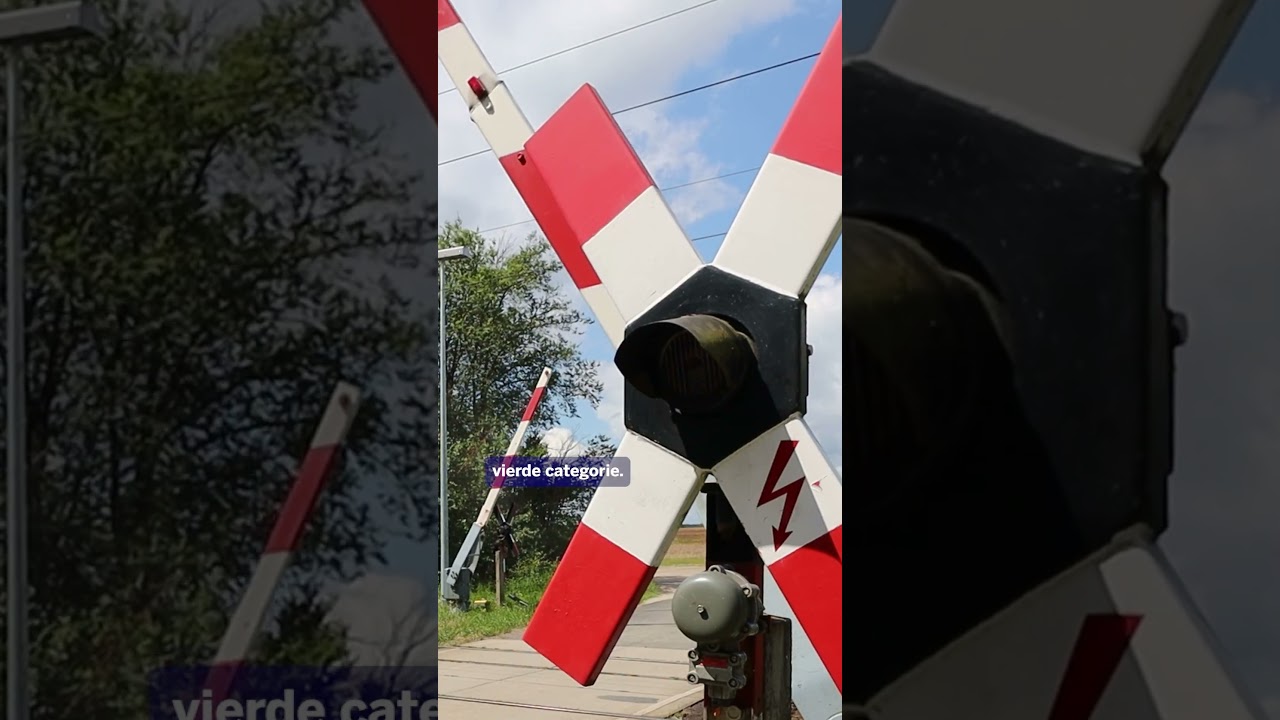 The Public Prosecution Service wants Evenepoel and co. before a police judge.