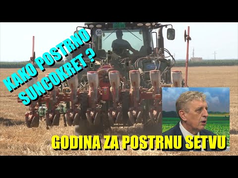 POSTRNA SETVA SUNCOKRETA  - može ove godine !! A I EVO KAKO DO ZARADE i šta su ulaganja