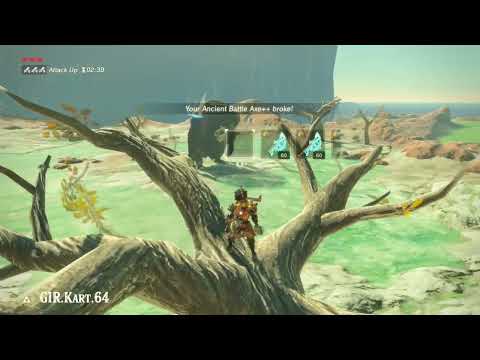 Breath of the Wild - East Gut Check Rock Black Hinox Challenge - 039
