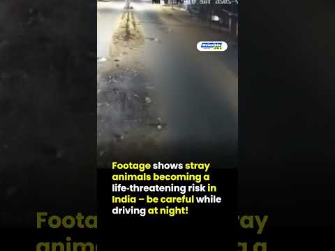 Massive explosion rocks fuel tanker near Panama City’s Bridge of the Americas 1