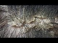 ASMR Comfortable Relaxation 37