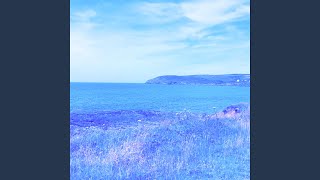 Cover art for Forgetting was my only option