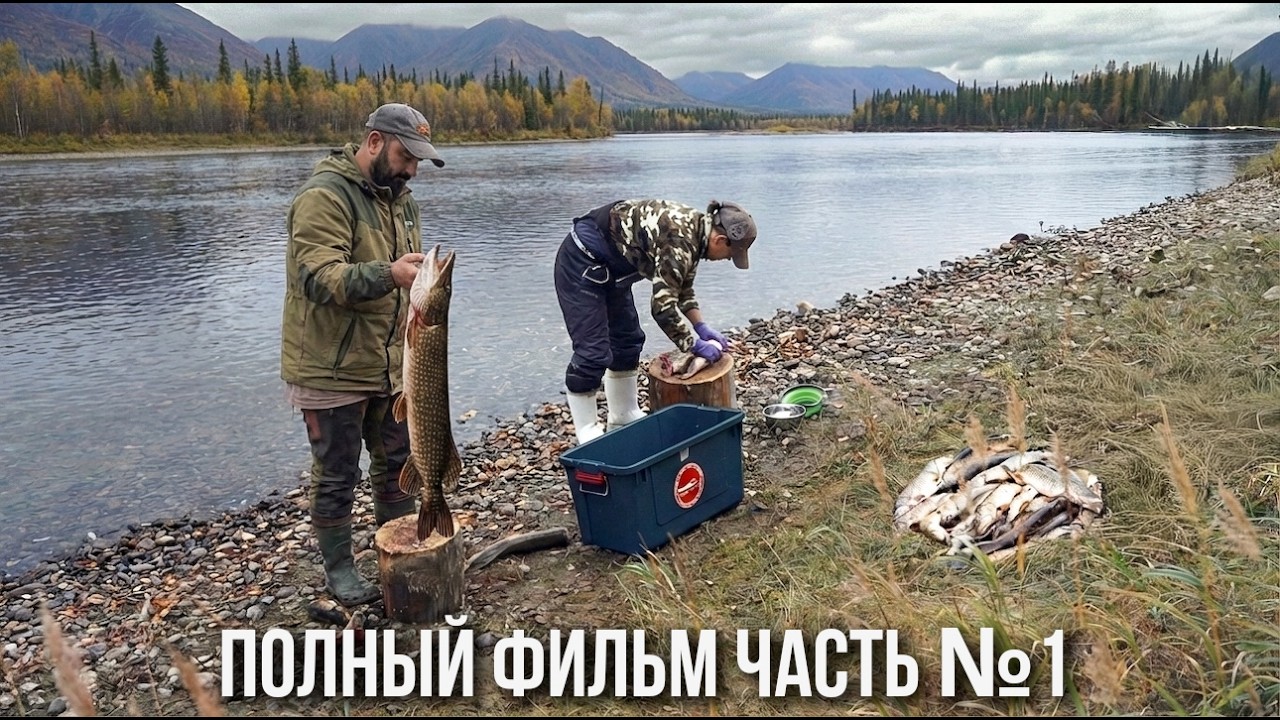 Изба на берегу горной реки. Рыбалка. Как живут люди в тайге. Обычная жизнь. По?