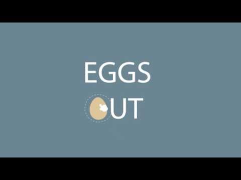 Eggs Out Video