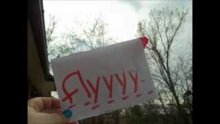 Action Item - Learn To Fly (lyrics)