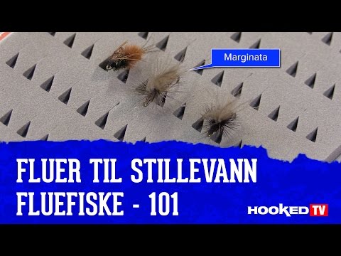 Fluer til stillevann - Fluefiske 101 - Ep 1 - Robert Sørvik