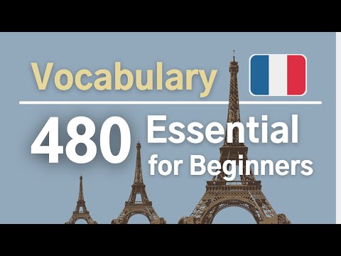 Learn Essential French Vocabulary 480 for Beginners 🇫🇷