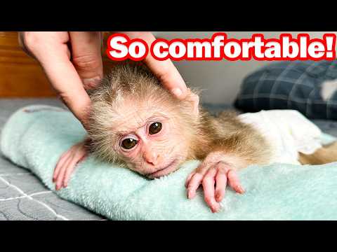 Lala gets a special bath and massage after helping Mom grow vegetables!