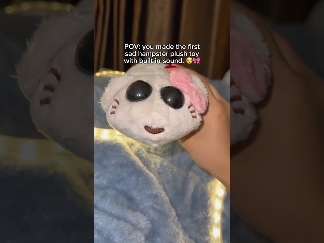 Vídeo relacionado con SULIUDAJI Llavero De Hámster Triste,Sad Hamster Keychain, Sad Hamster Meme Plush Toy,Meme Sad Hamster Plush Regalo Único Para Niños Y Adultos