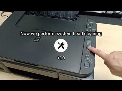 System Head Cleaning For Canon G3010/G2010 (Empty Pipes)