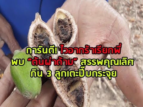 ยืดเพื่อเพิ่มสมาชิก ค้อนของ ธ อร์ซื้อ Mogilev