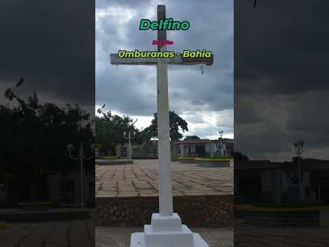 Delfino   #viagem #nordeste #sertão #umburanas #bahia #turismo