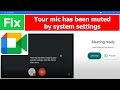 Solved Your Mic Is Muted By Your System Settings Google Meet How To Unmute Mic In System Settings