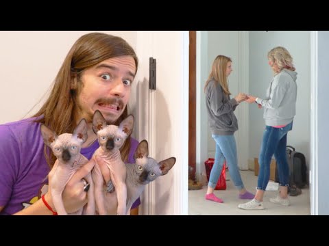 I STOLE ALL The Tannerites KITTENS!!!