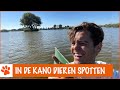 Op vakantie in eigen land! | DierenpraatTV