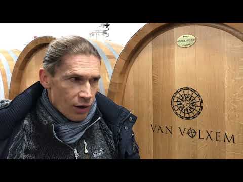 Van Volxem baut eine Weinmanufaktur