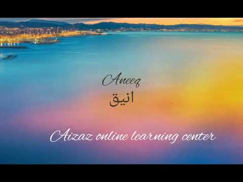 Aneeq/انیق Muslim name's meaning in English and Urdu