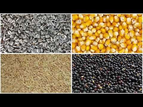 Stela Laxhuber GmbH - image video