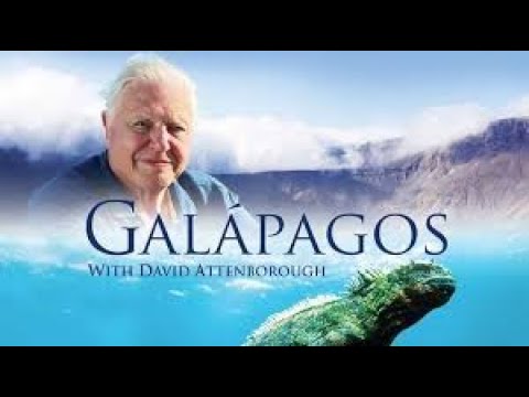 Galápagos with David Attenborough | Adaptation | Whale Shark | Albatross | Marine Iguana