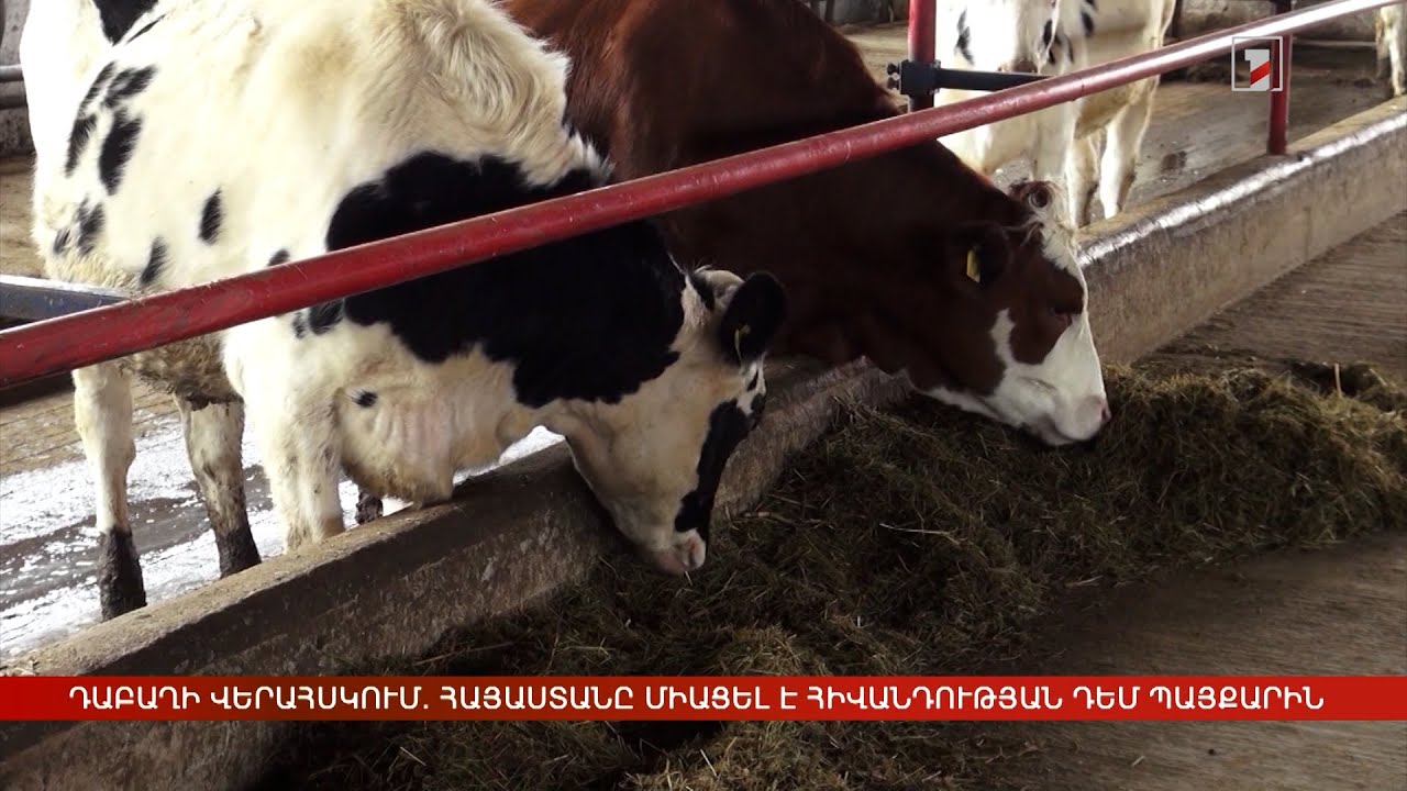 Հայաստանը՝ Դաբաղի վերահսկումների մասին Եվրոպական հանձնաժողովի անդամ