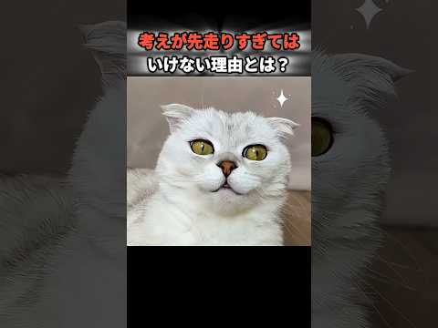 まさか…  と思いましたよね？  (笑)#反転動画 #猫 #面白い動物 #ユーモア #動物の反応