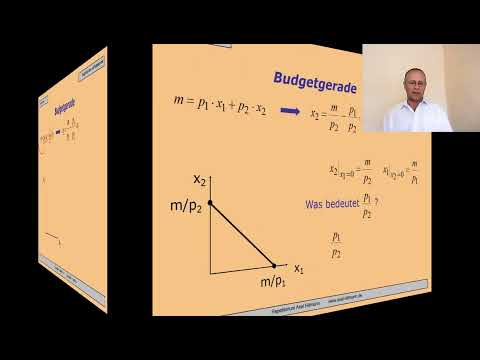 4 Budgetrestriktion und Budgetgerade - Ausschnitt