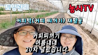 오이재배, 토양관리에 커피박을 아시나요?  커피박 활용과 효능 [농사TV]