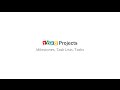Zoho Projects Milestones And Tasklists