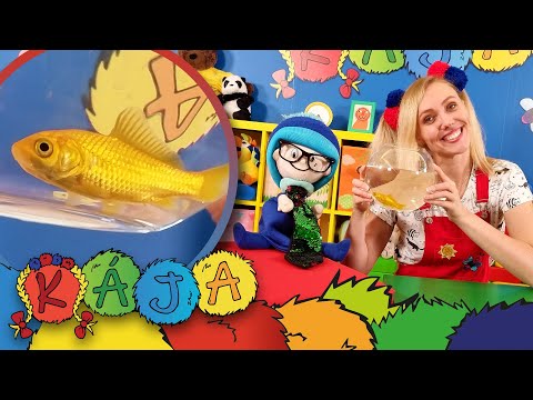 ☼ KÁJA A BAMBULÁČEK ☼ - Zlatá rybka a tři přání 🐠