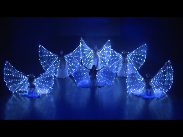 Vídeo relacionado con Alas LED de Mariposa para Adultos, LED ISIS Wings Glow Up Disfraces de Danza del Vientre con Palos, 360 Grados Rendimiento apoyos LED para Carnaval Halloween Accesorios de Escenario (Blanco)