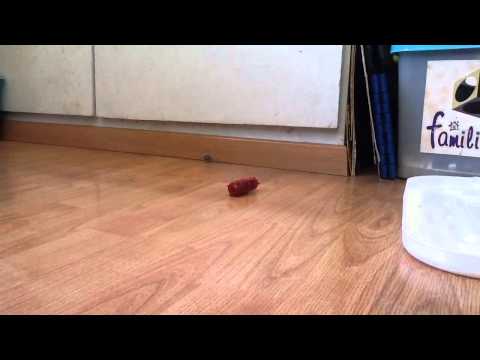 B-Daman Scope Magazine