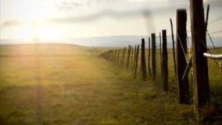 The Soul's Release -  Catching Fireflies