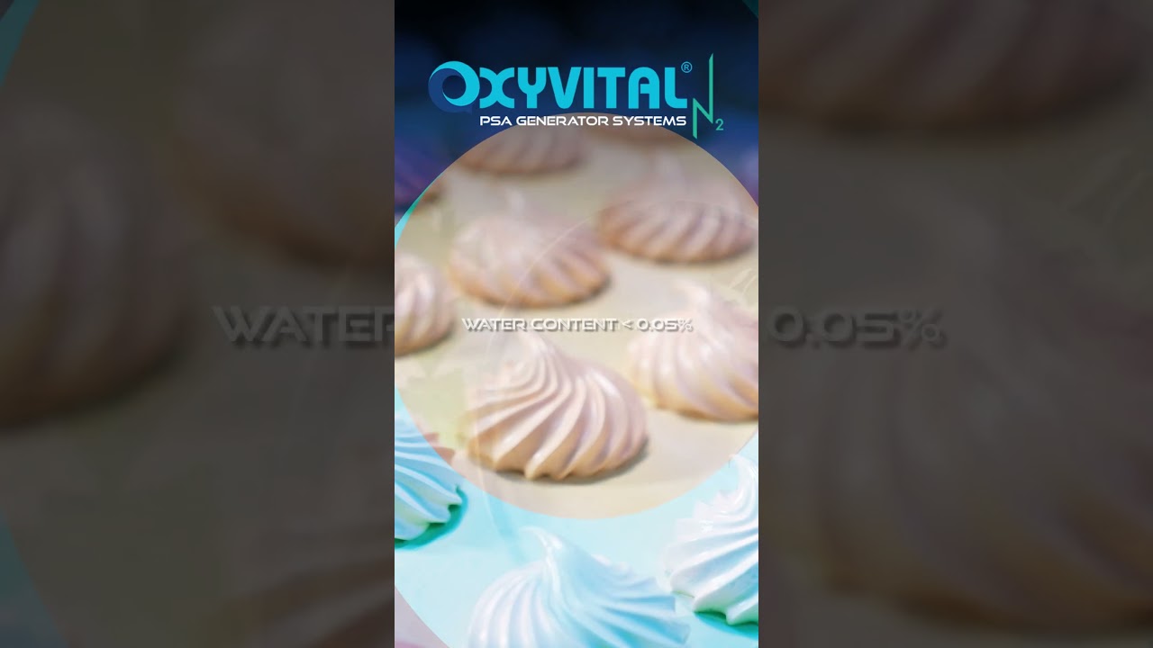 NITROGEN PSA GENERATOR are protector of the food product!