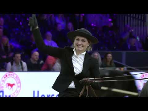 HK 2026 – Horses2fly KFPS sportcompetition showdriving stallions/geldings – German