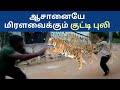 சிலம்பம் ஆசானையே மிரளவைக்கும் குட்ட�