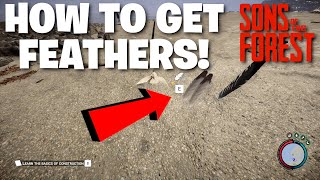 Sons Of The Forest - How To Get Feathers! 2 Different Methods! Item Guide!