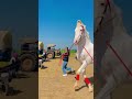 Harmanbrar Trendingshorts Trend Horselover
