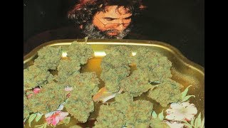 money  honey~ shining star   8-24-91