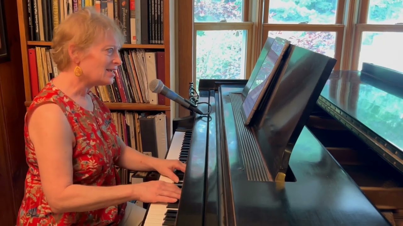 Promotional video thumbnail 2 for Diane Ammons