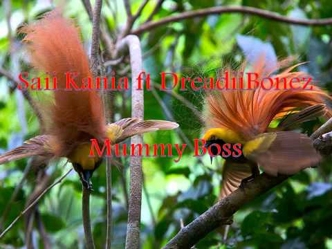Sai Kania ft DreadiBonez & Chris Sioni - Mummy Boss