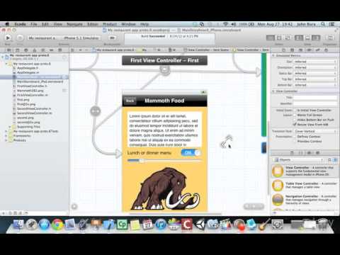 Xcode Fundamentals Designing a User Experience for iOS