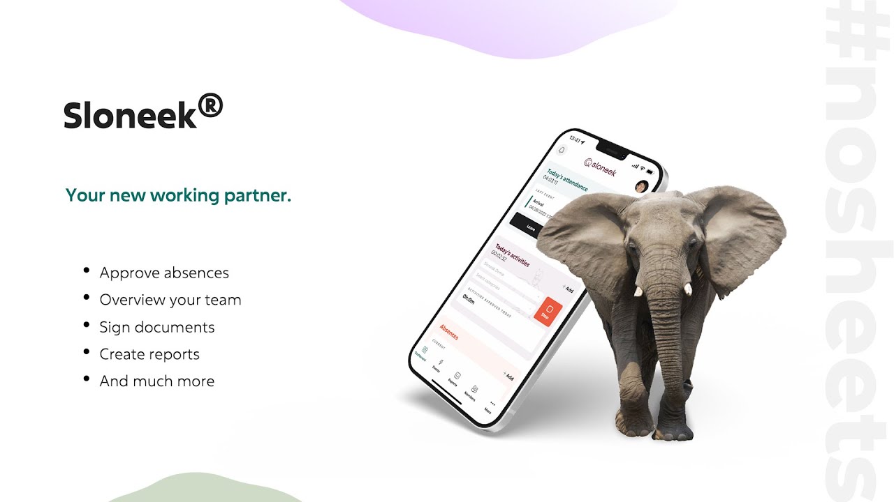 Sloneek - Quick Intro for Managers