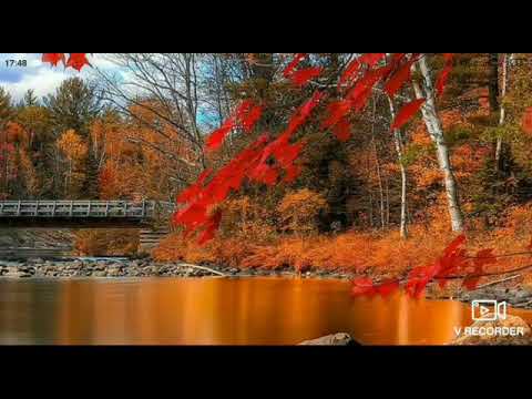 PVNTERV-Улетай(Клип)