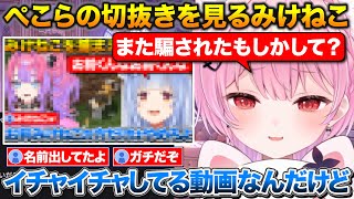 みけねこに触れたと聞いてぺこちゃんの切り抜きを見るみけねこ【みけねこ/ホロライブ/兎田ぺこら/切り抜き】