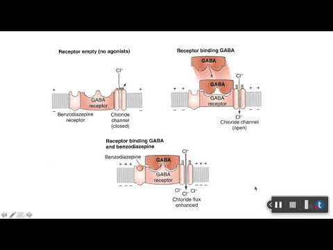 Sedative-Hypnotic and Anxiolytic