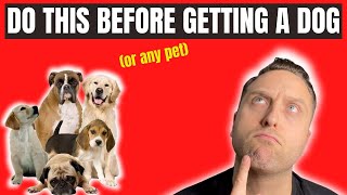 4 Things YOU Should Do Before Getting A Dog