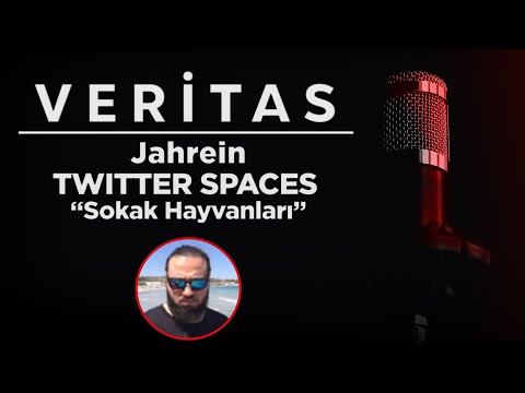 Jahrein Twitter Spaces (17.09.2022)[Sokak Hayvanları İle İlgili]-Gergin-